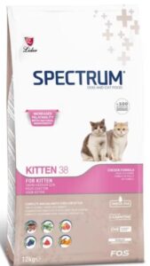 Spectrum Kitten38 12Kg Kedi Kuru Maması