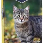 Thunder Adult Cat Tavuk 15Kg Kedi Kuru Maması