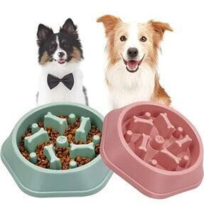 Diet Mama Kabi Mama ve Su Kapları