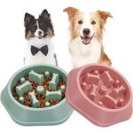 Diet Mama Kabi Mama ve Su Kapları