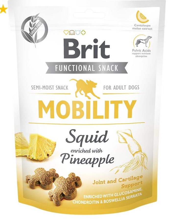 Brit Care-Brit Care Funtional Snacky Mobility Squid 150G Köpek Ödül Mamaları-kktc