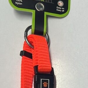 Doco Boyunluk Turuncu Xs Köpek Oyuncak ve Tasmaları