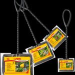 Sera Fi̇sh Net 12Cm Balık Akvaryum Aksesuarları