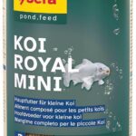 Sera Koi̇ Royal Mini 1000Ml Balık Yemi ve İlaçları