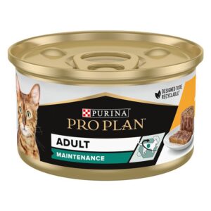 Proplan Adult Mai̇ntenance Cat Chicken 85G Kedi Ödül Mamaları