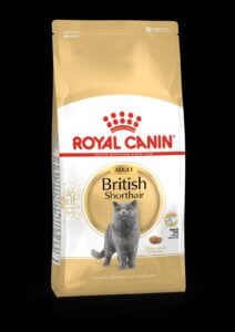 Royal Canin British Shorthair Adult 4Kg Kedi Kuru Maması