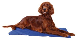 Trixie-Trixie Cooling Mat Xl-Xxl 100X60 Cm Blue Yatak Ve Yastık-Kktc