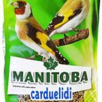 Mani̇toba Cardueli̇di̇ Bülbül Yemi̇ 800G Kuş Yemi ve Vitaminleri