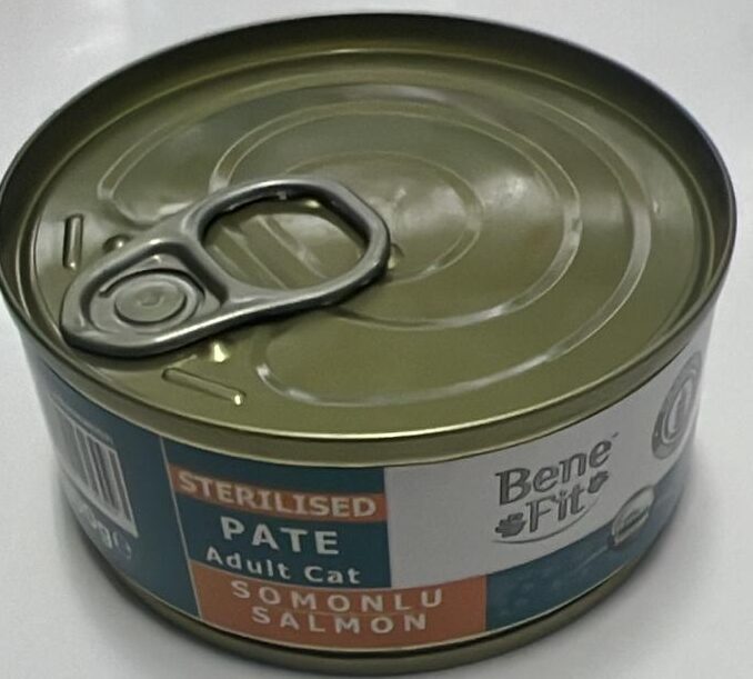 Bene Fit-Bene Fit Pate Sterlised Salmon 100G Kedi Yaş Maması-kktc