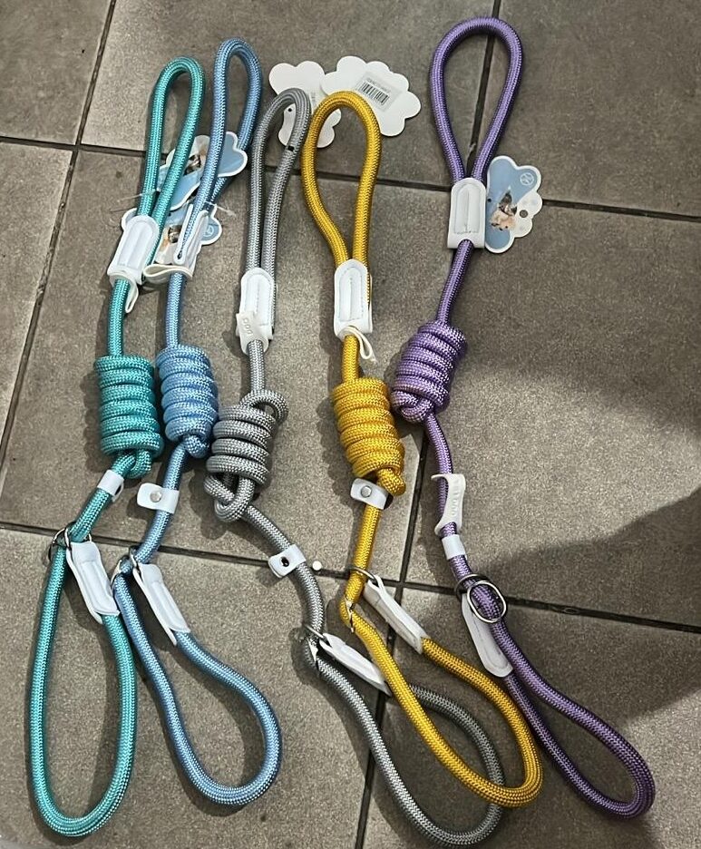 -Ft 14456-37 Eği̇ti̇m Tasmasi Köpek Oyuncak ve Tasmaları-kktc