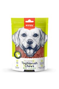 Wanpy-Wanpy Toothbrush Chews Beef Flavor 100G Köpek Ödül Mamaları-Kktc