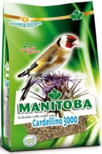 Mani̇toba Cardelli̇no 3000 1Kg Kuş Yemi ve Vitaminleri