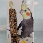 Kokodil Kraker Muz Findik Kuş Yemi ve Vitaminleri