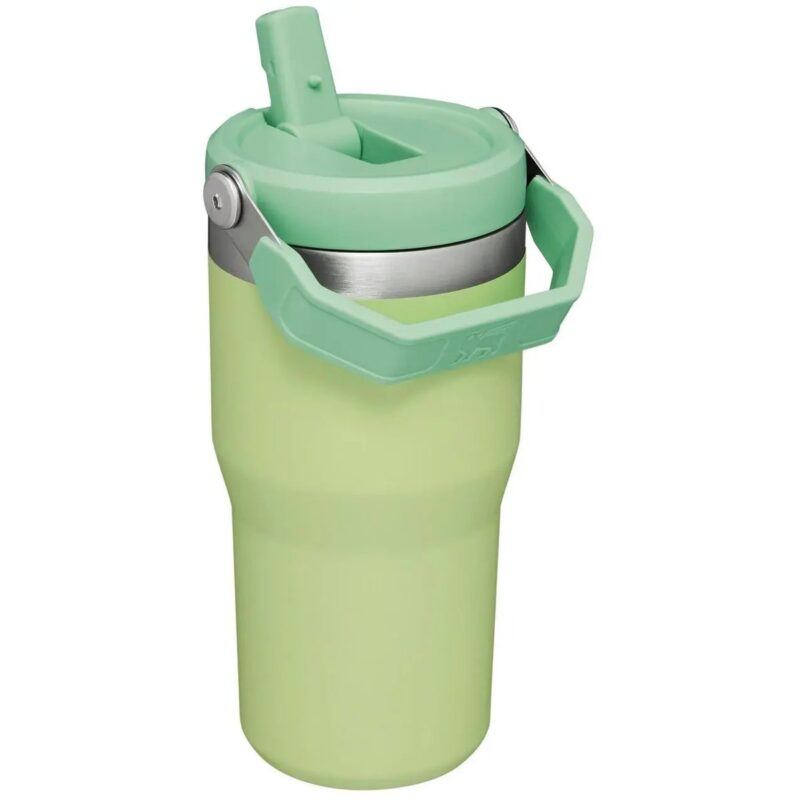 Stanley İceflow Flip Straw Tumbler 590ml Pistachio