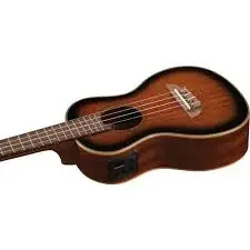 Eko V10 The Beetle Elektro Gitar Amfisi 10W 5 inç Hoparlör