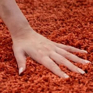 Queen 6M2 Shaggy Hali