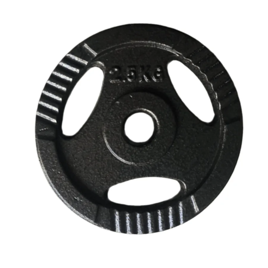 Protech Demir Kaplama Flanş Ağırlık - 2.5 KG