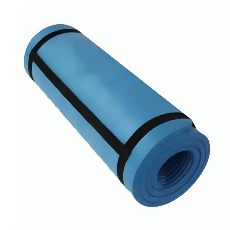 Protech Yoga Matı -  1 cm Mavi
