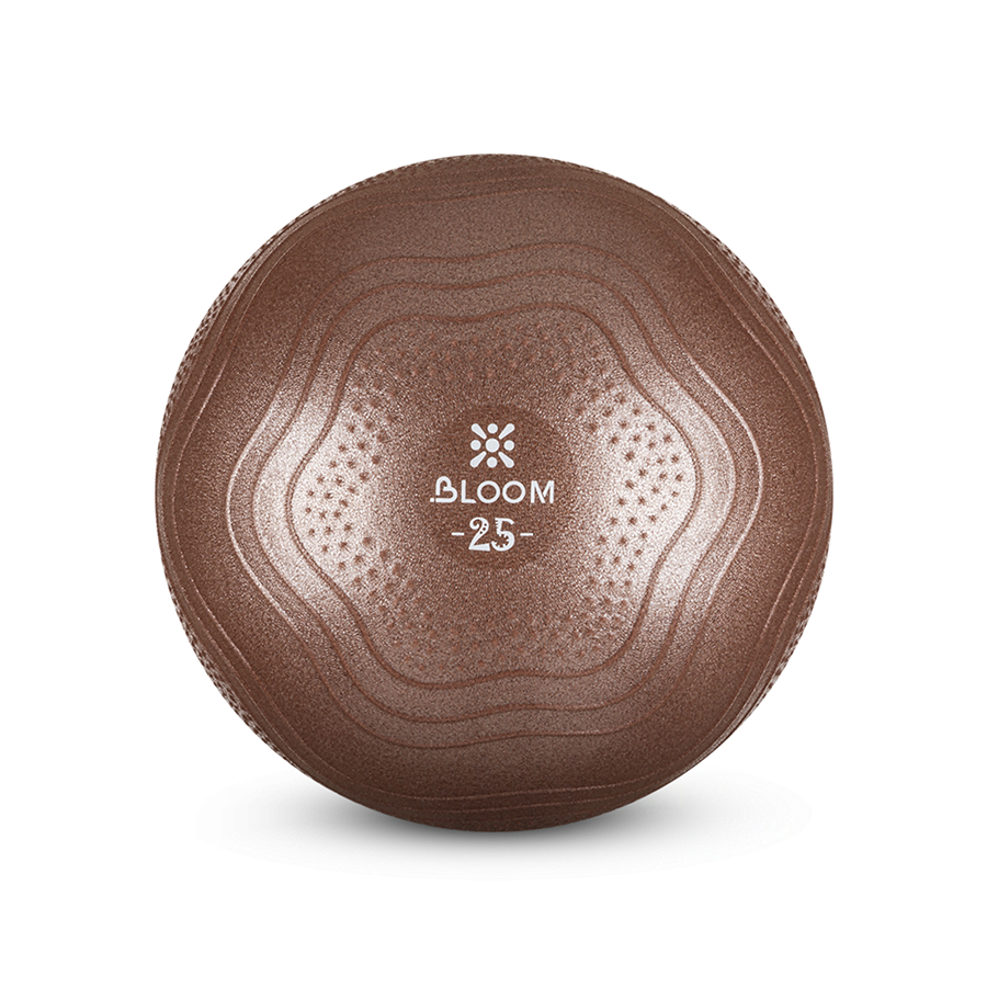 Protech 25 Cm Mini Pilates Topu - Kahverengi