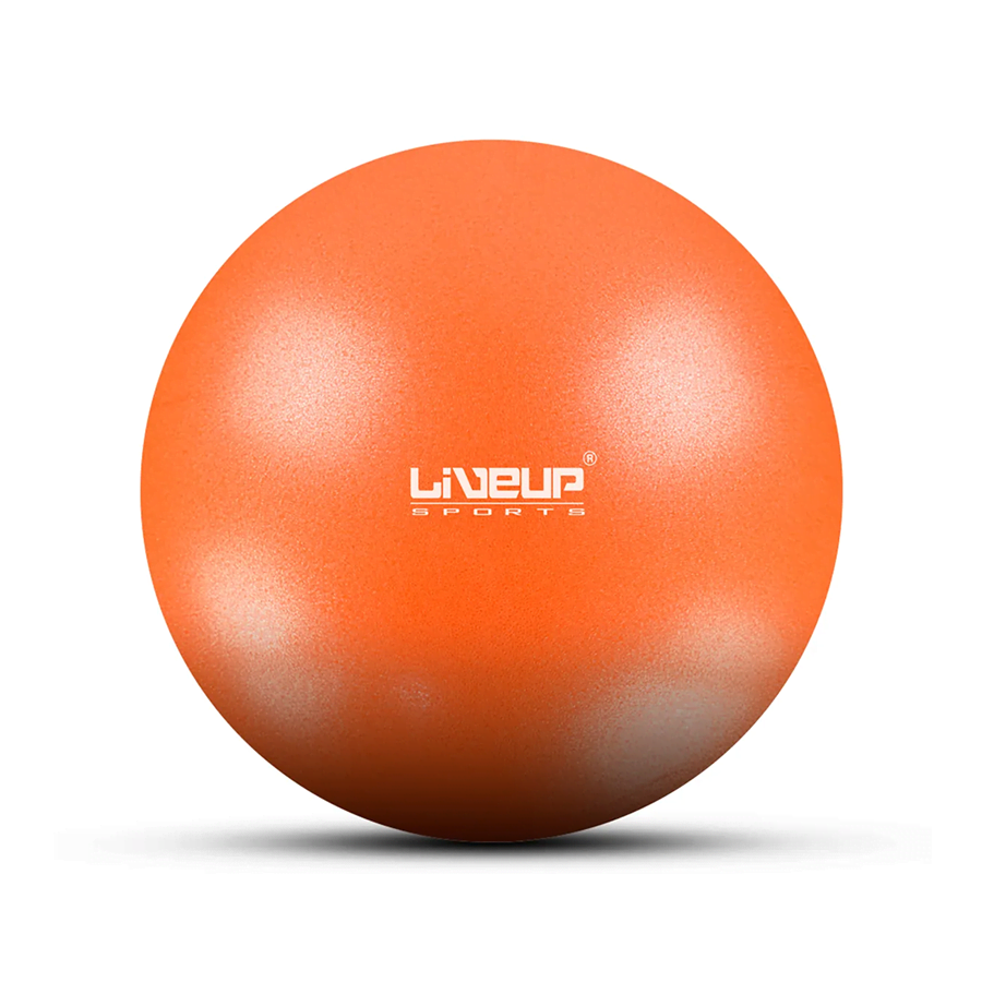 Protech 25 cm Mini Pilates Topu