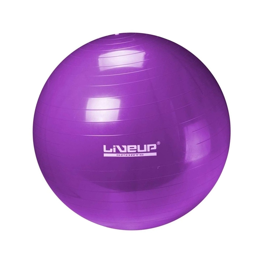 Protech Pilates Topu - 65cm - Mor