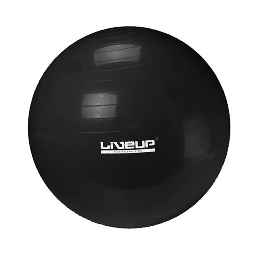 Protech Pilates Topu - 65cm - Siyah