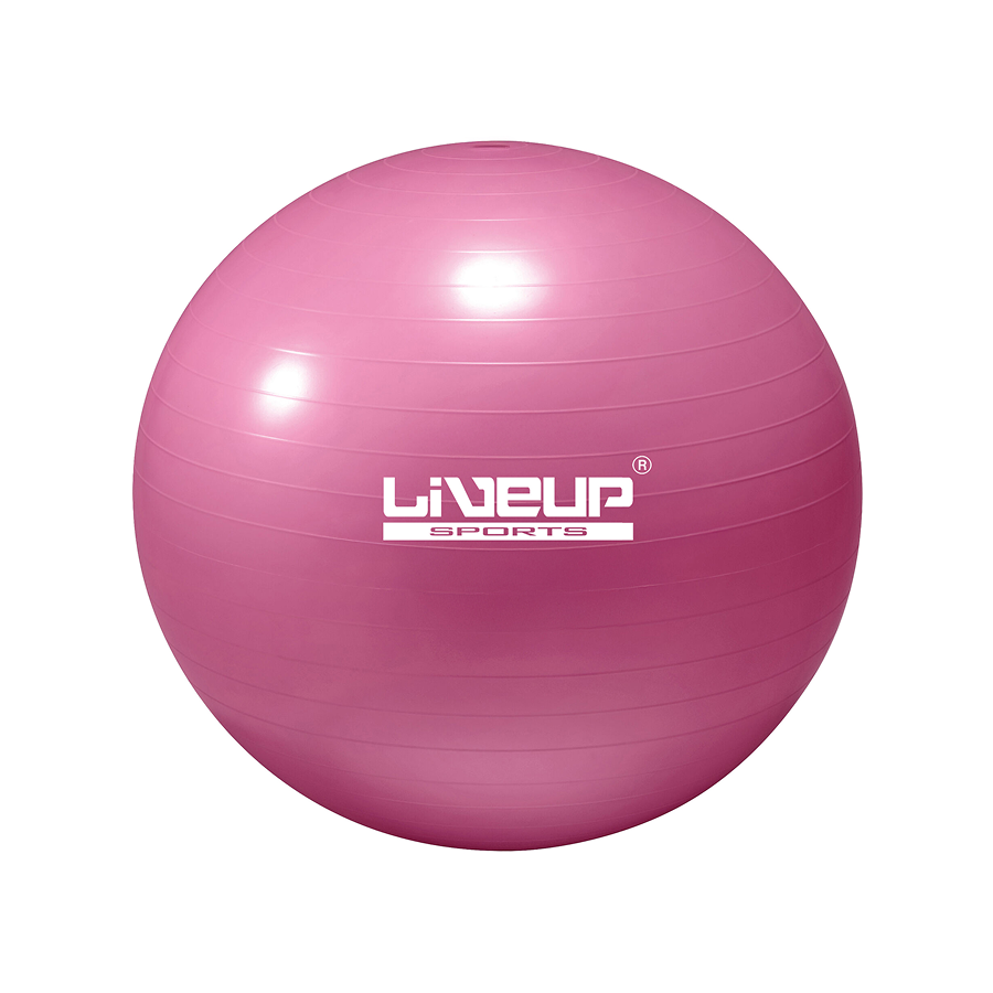 Protech Pilates Topu - 65cm - Pembe