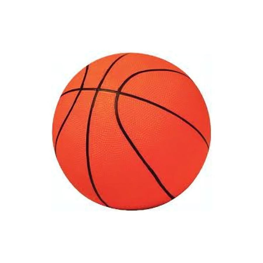 Protech Basketbol Topu