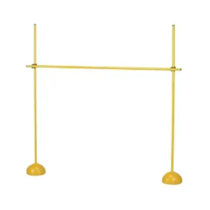 Protech Agility Hurdle Set Atlama Engeli