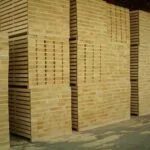 Kereste Ayous 5.2cmx10cm