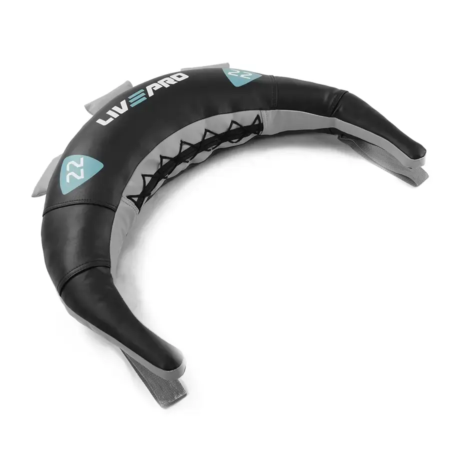 Protech ﻿Bulgarian Bag - 22 KG