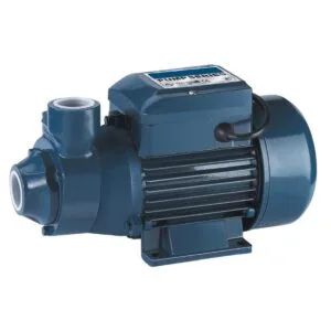 Dayuan Su Motoru 0.50 HP Küçük Pomba