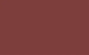 Bonus Tezgah (worktop) Dik Kesim Parlak 366x38mm 1029 Spc