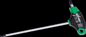 Dönges Torx Plastik Saplı Torx