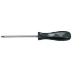 Draper Tornavida Torx Ortasi Delik