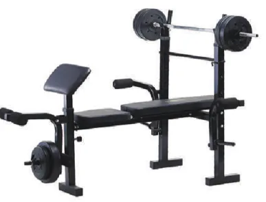 Power Kas Geliştirme İstasyonu Home Gym