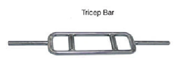 Power Standard Kol Çalışma Barbeli