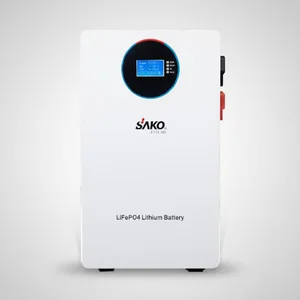 Slr Sk-25.6v 100ah (2.5 Kw) Lıthıum Ion Batterıes