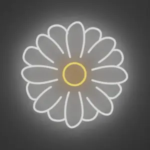 Büyüleyici Papatya, Neon Tabela