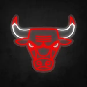 Chicago Bulls