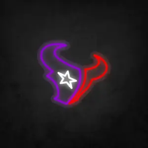 Houston Texans (Büyük)