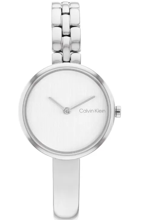 Calvin Klein CK25200278 Gümüş Kol Saati