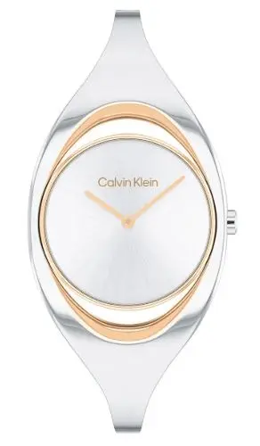 Calvin Klein CK25200393 Gümüş Kol Saati