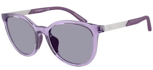 Emporio Armani EK4007U Menekşe 628080 CR39 Organik 1.5 Güneş Gözlüğü