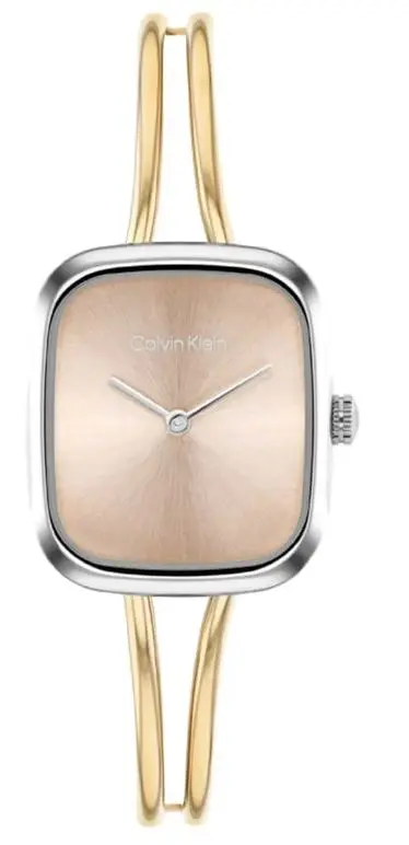 Calvin Klein CK25100134 Gümüş/Altin Kol Saati