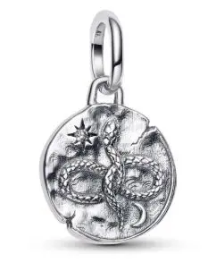 Pandora 793976C01 Charm Gümüş