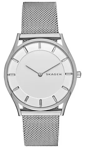 Skagen SKW2342 Gümüş Kol Saati